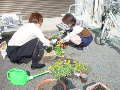 花の植え替えをしました！