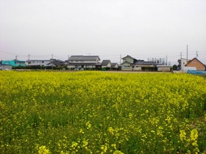 コナン通りで見つけました！