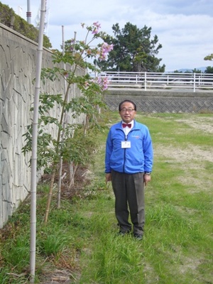 冬空にそびえる花。