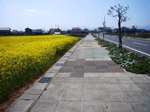 一面に広がる・・・