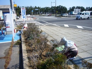 草がよく生える時期になりました！