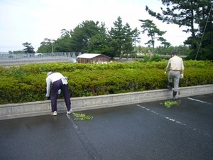 綺麗にしていただきました♪