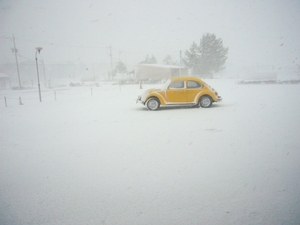 なごり雪・・・