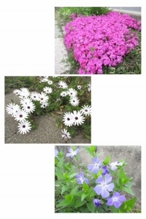 春の匂い☆