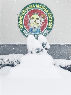 記録的大雪…