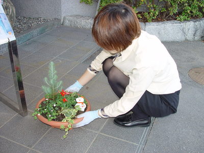 花の植え替えをしました！