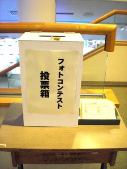 フォトコンテストの投票が開始されました♪