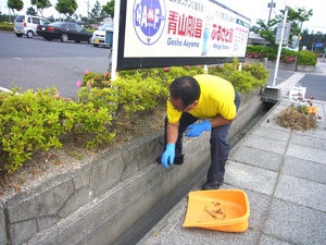 草取り草取りー★