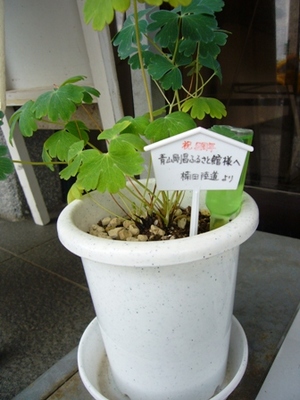 イチかバチか…