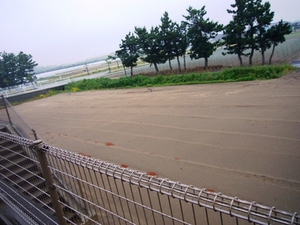 ありがとう、コナン花壇。