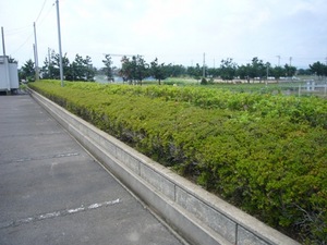 綺麗にしていただきました♪