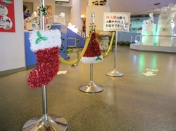 もうすぐクリスマス…★彡