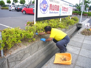 草取り草取りー★