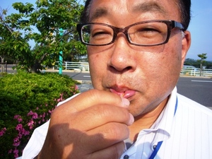 うまうま♪