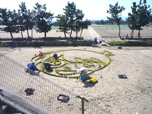 お花のコナン君登場♪