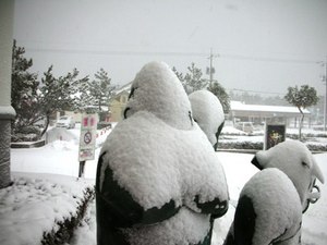 今年も雪だらけ少年探偵団！