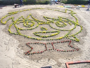 お花のコナン君登場♪