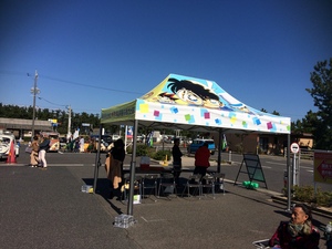 たくさんのビートルが集まりました!
